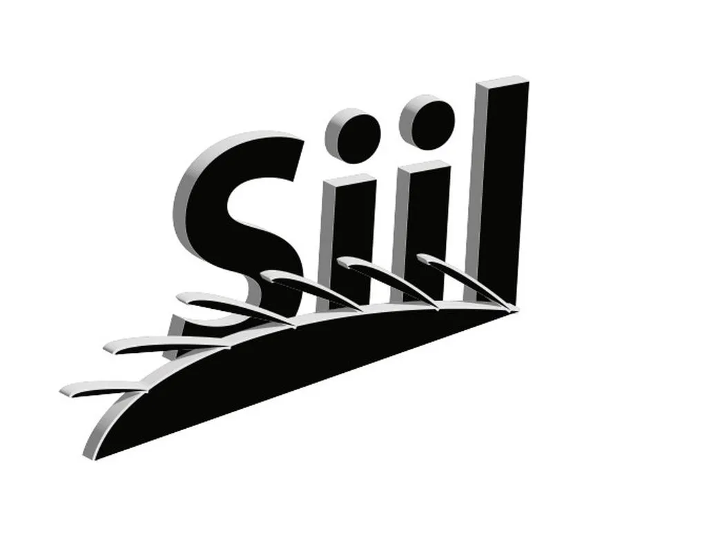 3D logo tööst pilt. Logo Siil.
