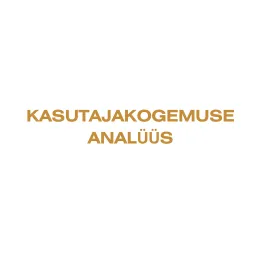 silt kasutajakogemuse analüüs